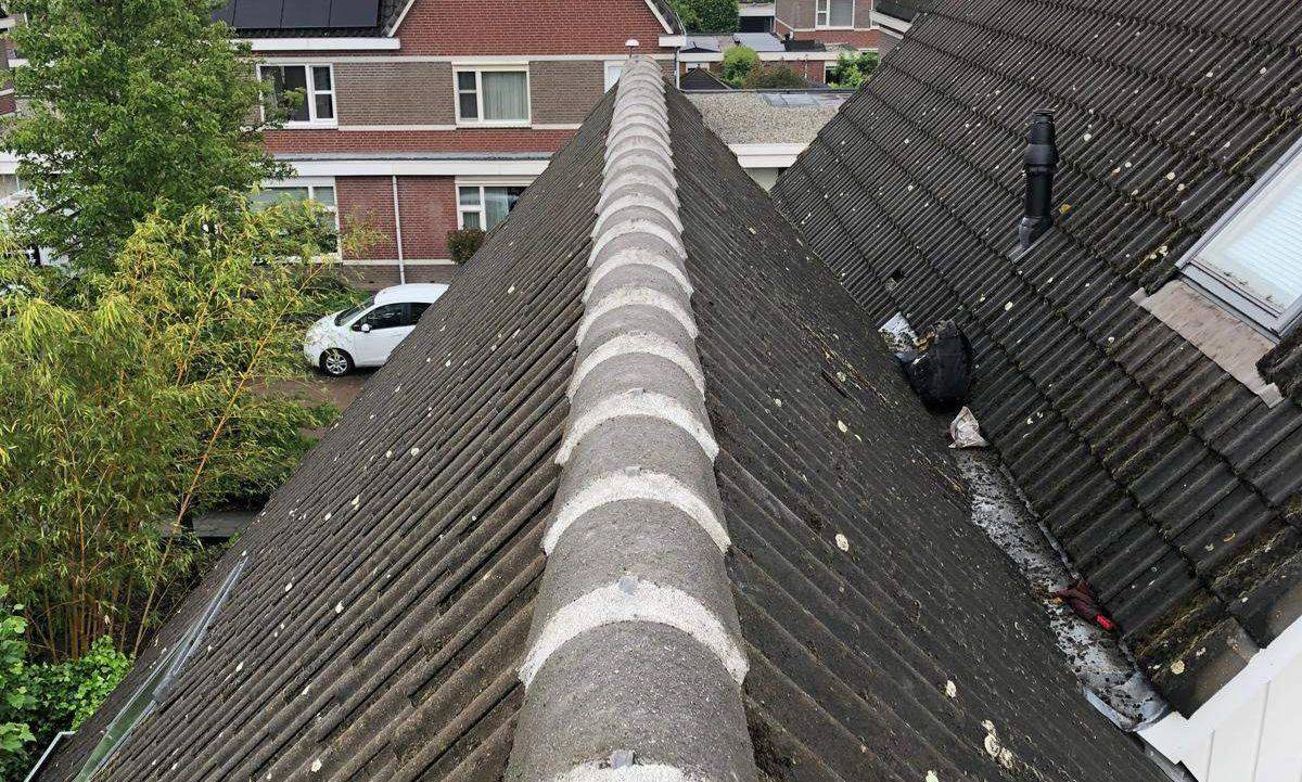 Nokvorsten Tilburg